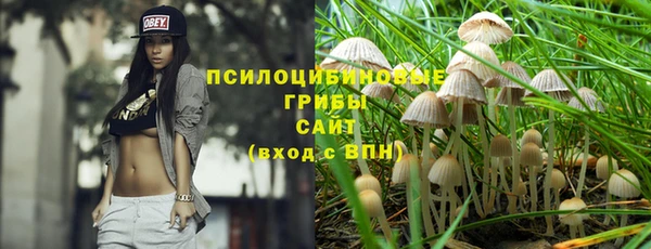 прущая мука Козловка
