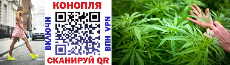 Конопля OG Kush Новый Оскол